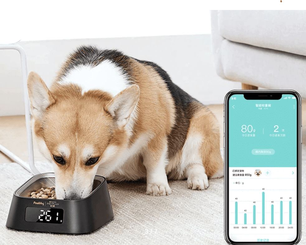 Дисплей умной миски для животных Pawbby Smart Pet Bowl 